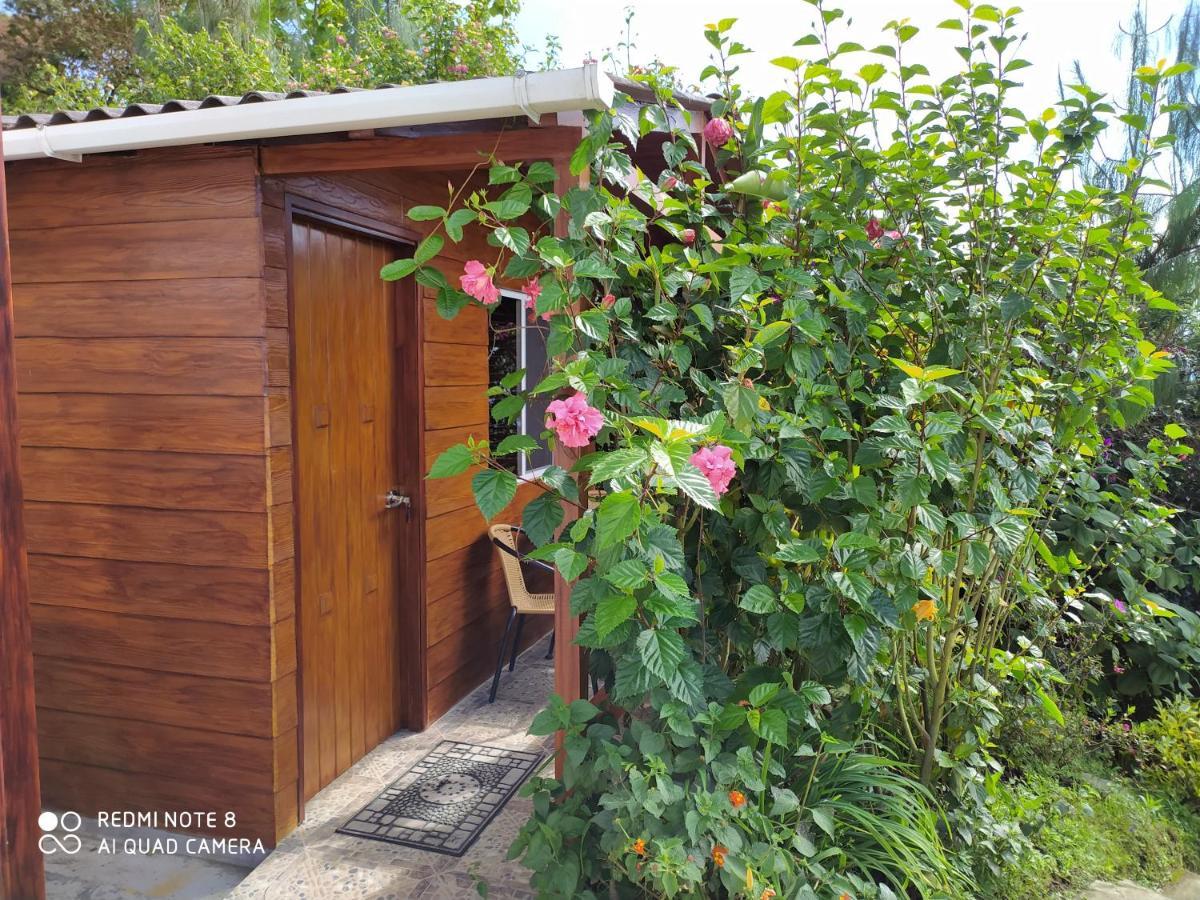 מניזאלס Mirador Finca Morrogacho מראה חיצוני תמונה
