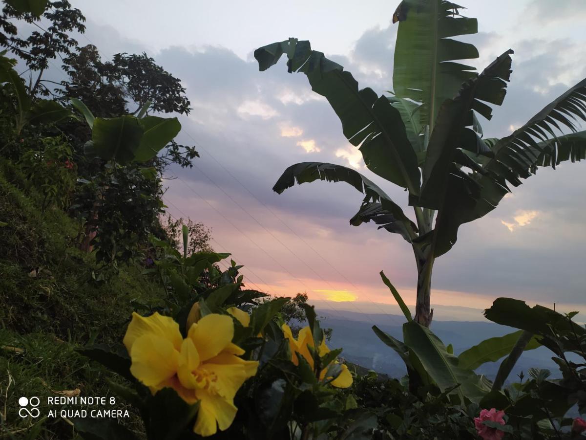 מניזאלס Mirador Finca Morrogacho מראה חיצוני תמונה