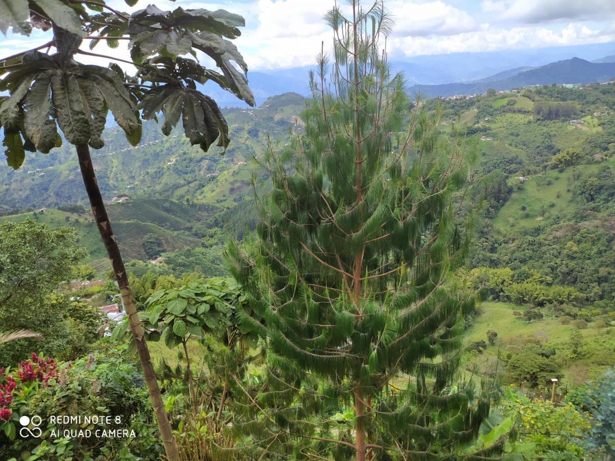 מניזאלס Mirador Finca Morrogacho מראה חיצוני תמונה