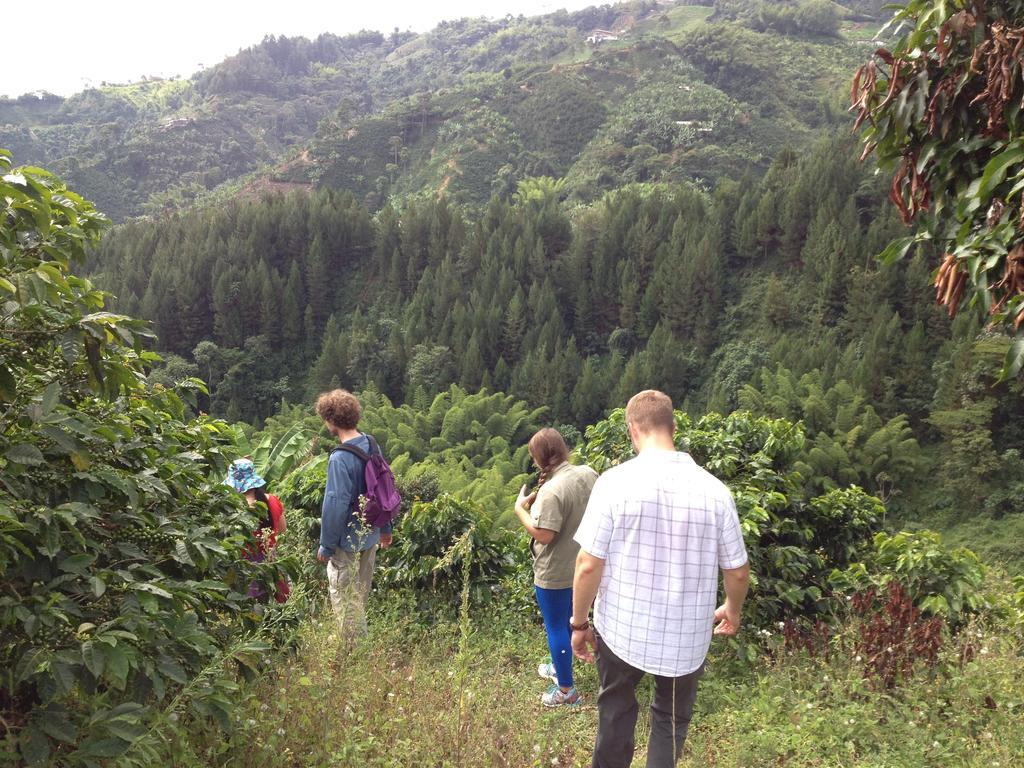 מניזאלס Mirador Finca Morrogacho מראה חיצוני תמונה
