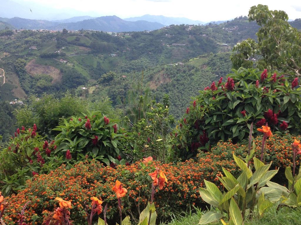 מניזאלס Mirador Finca Morrogacho מראה חיצוני תמונה